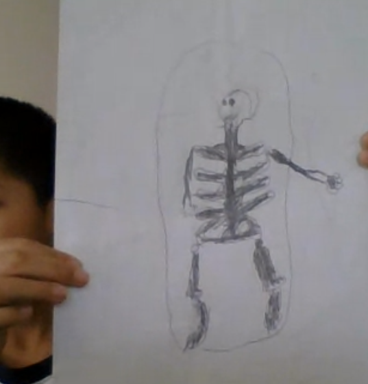 artwithmsyang's tweet photo. We did the bone X-ray drawing with our Kindergarteners today, it was a lot fun! #Learnyourbody #BCPSVLP https://t.co/jm9L1zd5wh