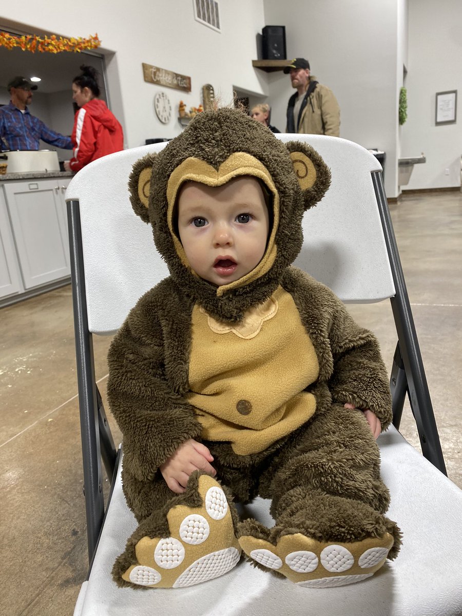 kgb2016's tweet photo. Cutest monkey around https://t.co/j1lx1d3Dtc