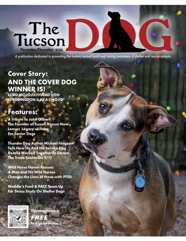TheTucsonDogMag's tweet photo. Get your copy of the Tucson Dog Magazine's Nov/Dec issue online or on newsstands starting today! #dogs #tucson #animalrescue #dognews #doglife #doglovers https://t.co/pqGgUgraGC