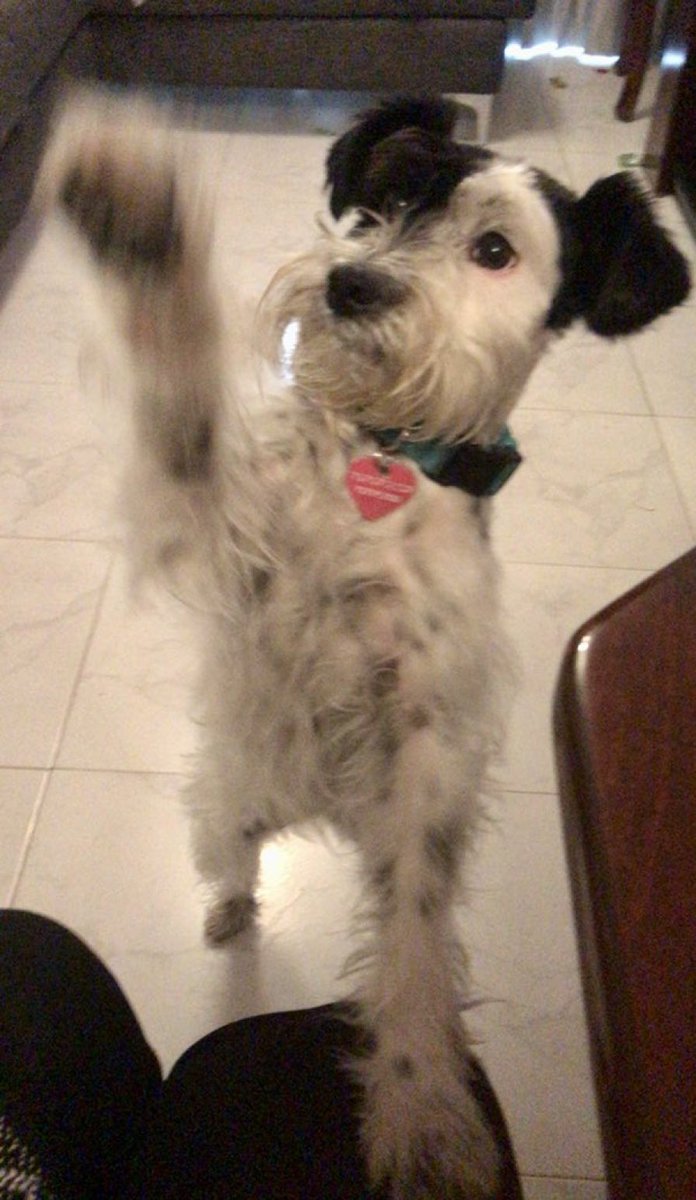 Veronica Escobedo tweet media