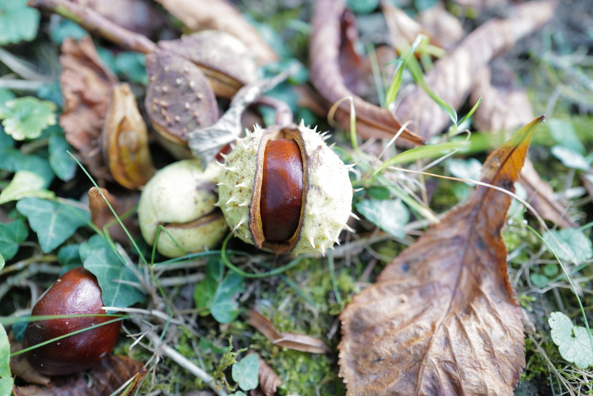 You might know Ohio for the Rock &amp; Roll Hall of Fame in Cleveland. Or you know of Sandusky because of Cedar Point. No matter your knowledge or ideas about Ohio, there’s sure to be more to this Buckeye state. How will you show your Ohio pride on National Ohio Day?