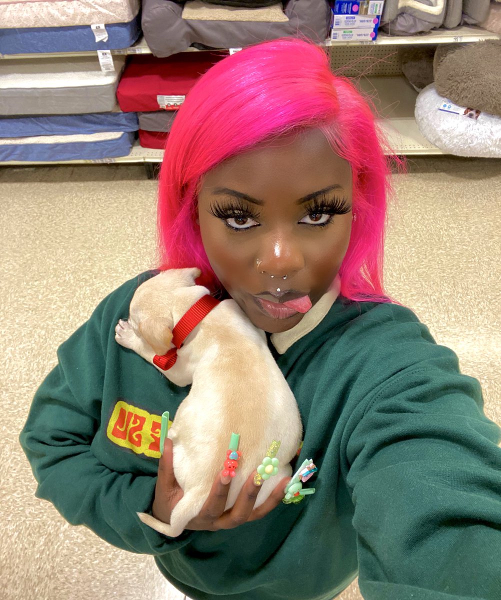 CYBERB4E's tweet photo. let’s pretend this is a fleet🐶 https://t.co/kscaFKng3B