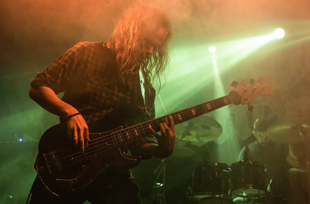 Shardborne tweet media