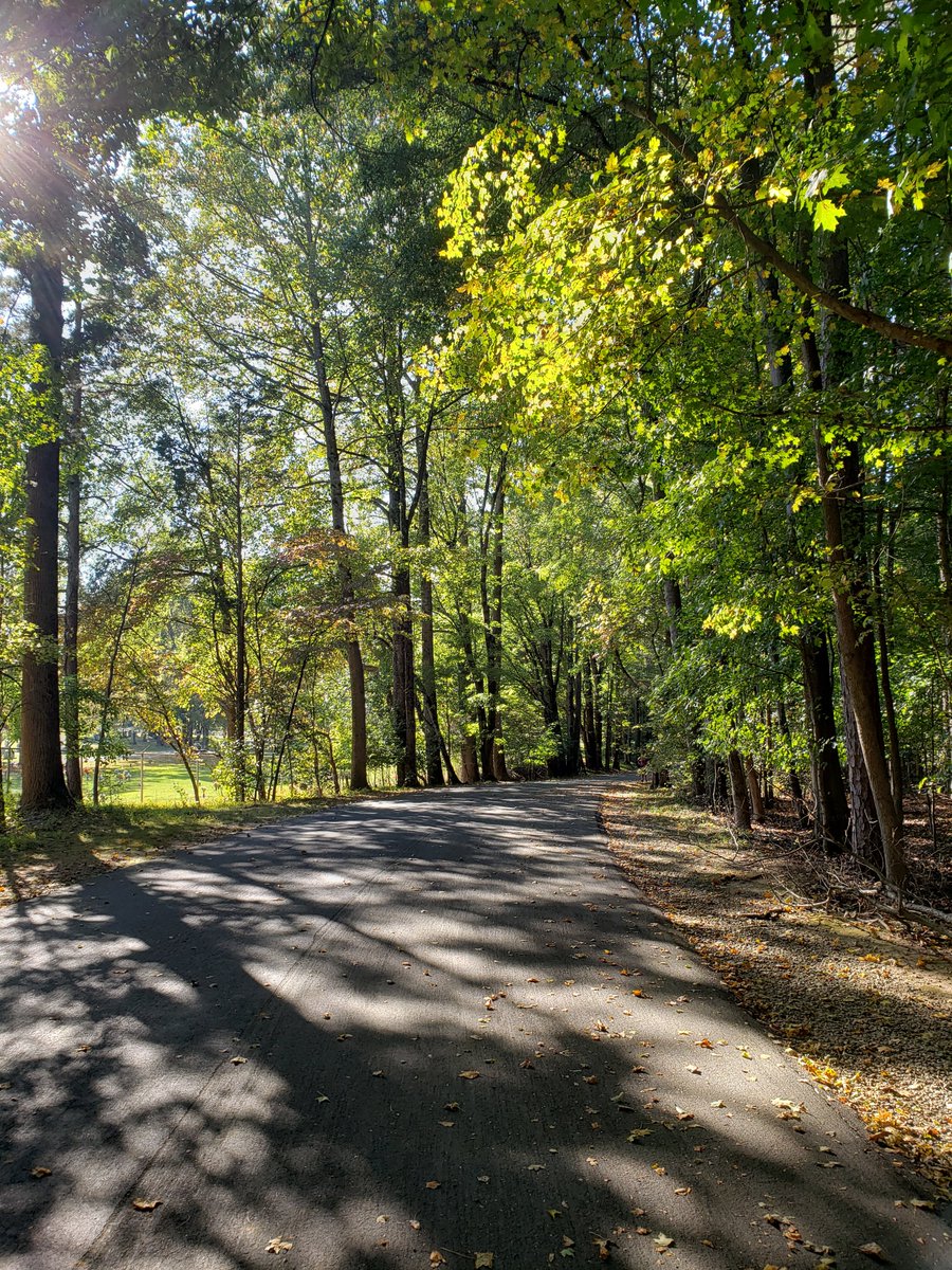 NCBT site Guilford Courthouse National Military Park in #GreensboroNC offers several miles of paved walking trails for #birders. A self-guided scenic loop road provides wayside historic exhibits and parking at 8 significant sites throughout the park.