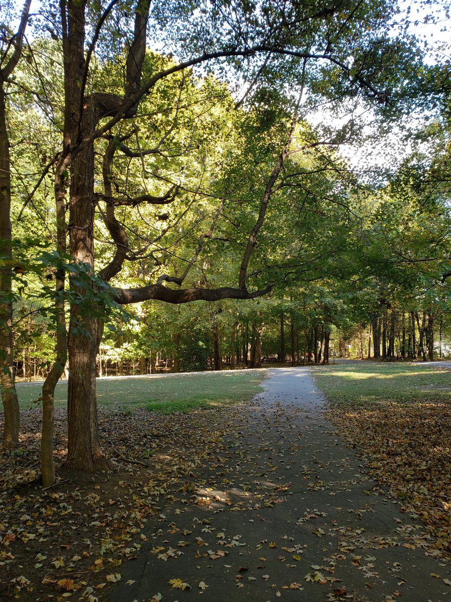 ncbirdingtrail's tweet photo. NCBT site Guilford Courthouse National Military Park in #GreensboroNC offers several miles of paved walking trails for #birders. A self-guided scenic loop road provides wayside historic exhibits and parking at 8 significant sites throughout the park. https://t.co/CBPHrkRsYe