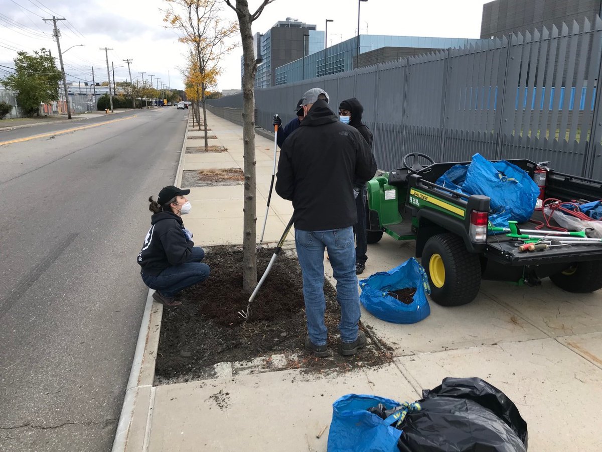 NYPDFacilities's tweet photo. NYPD City Clean Up Corps and NYPD members teamed up with NYC Parks to mulch street trees around the NYPD Police Academy. @JCCGCI @NYCParks @NYCHRA 

Proper mulching will result in healthier more beautiful and beneficial trees. 🌲🌳☀️ https://t.co/y4NdGRzAb6