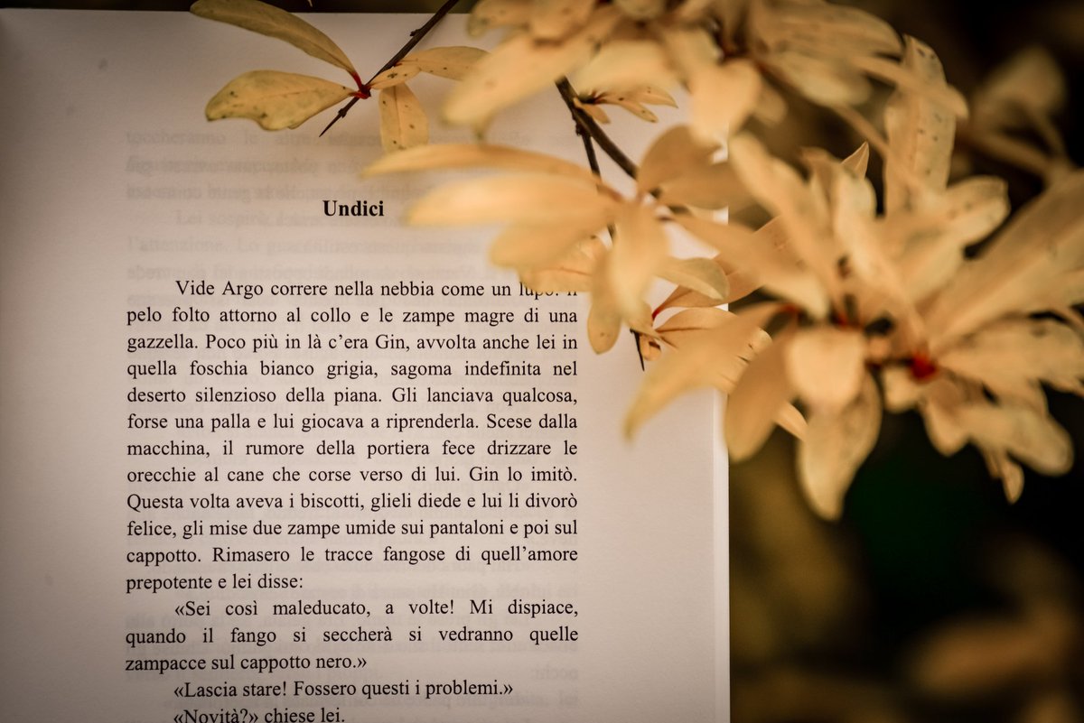 Miriam Terruzzi tweet media