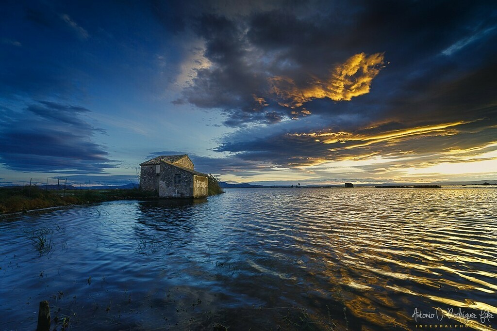 IntegralPhoto's tweet photo. Disfrutando de los colores otoñales en el parque natural de la Albufera de Valencia. La casa de los Tiros⠀⠀⠀⠀⠀⠀⠀⠀⠀
#integralphoto_spain #albuferadevalencia #albuferavalencia #parquenatural #parquenaturalalbufera #albufera #valencia https://t.co/T0sudWExpz https://t.co/iOA1cOJg49