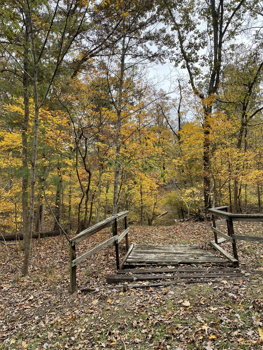 MattisonMath's tweet photo. POV: When you’re at a staff retreat to team build and connect but you miss your old staff so much that you just can’t today. #inmyownway #somedaysarehard https://t.co/gvPFwJMlrK
