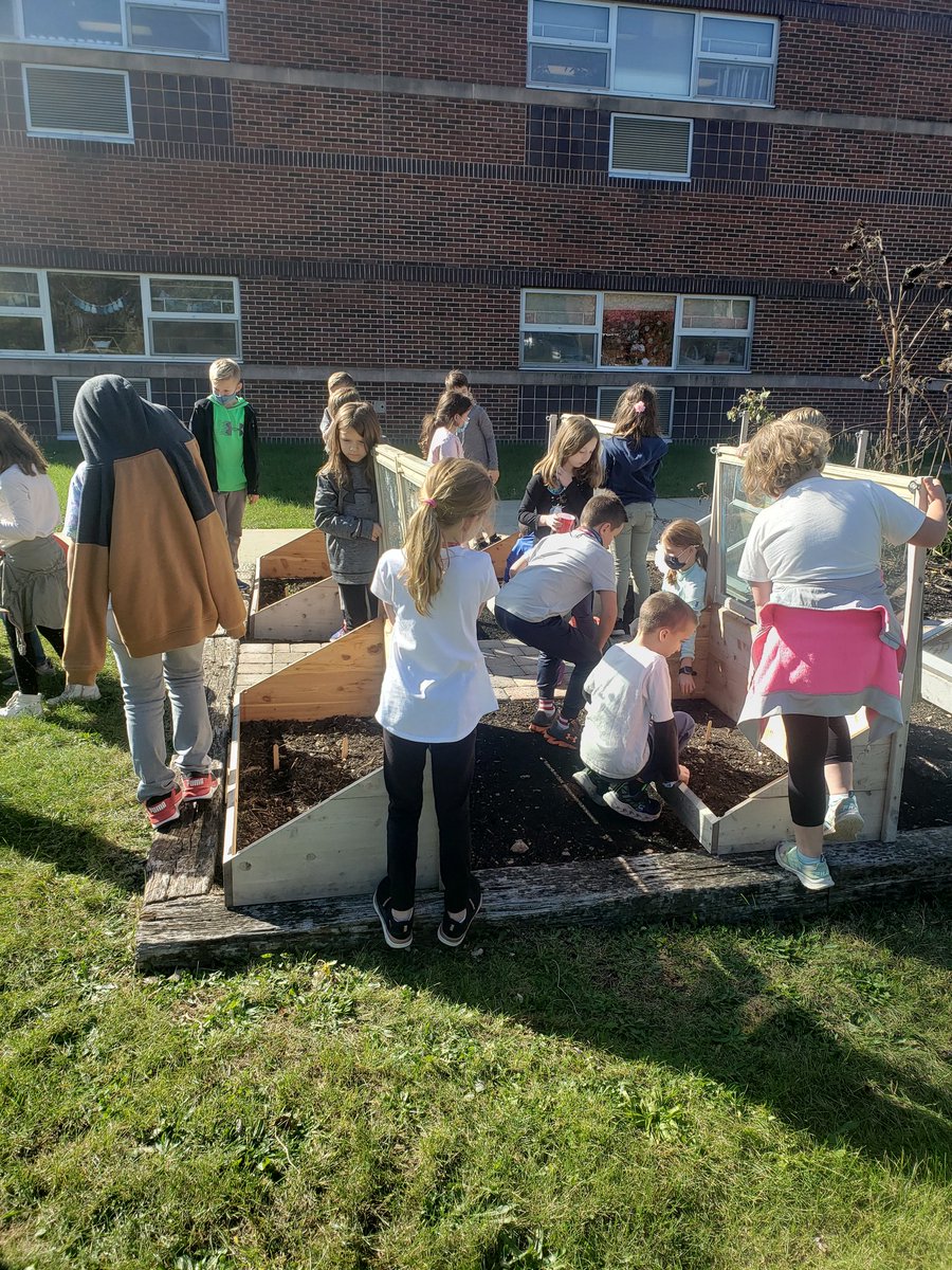 Fall planting for winter harvesting