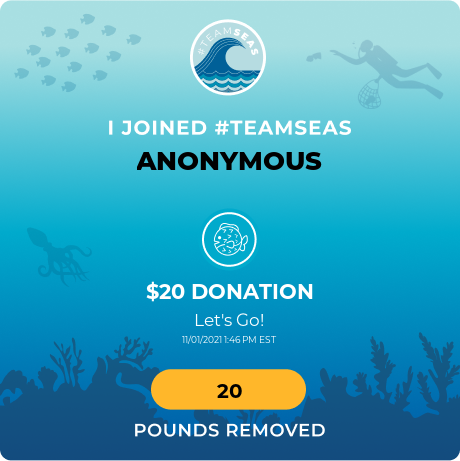 Accelmaster1's tweet image. #TeamSeas