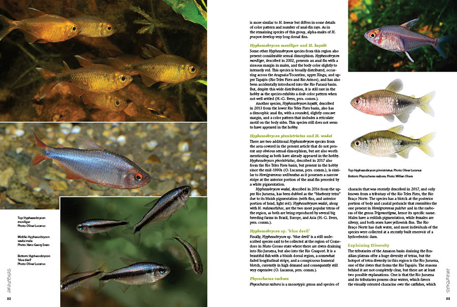 AmazonasMag's tweet photo. #AMAZONASmagazine #InsideLook: Less than 2 weeks left to get the #CHARACINS special edition for only $9.99 plus discounted shipping options. $14.99 after November 10th! Starts shipping early December! Details at https://t.co/dB19v8oG3n
#tetra #tetras #aquariums #aquarium #fish https://t.co/b6735Bjw6X