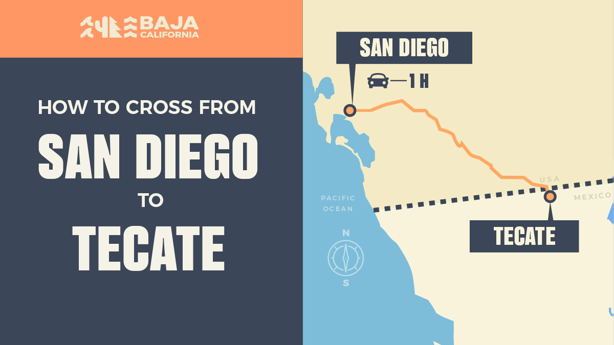 Baja California tweet media