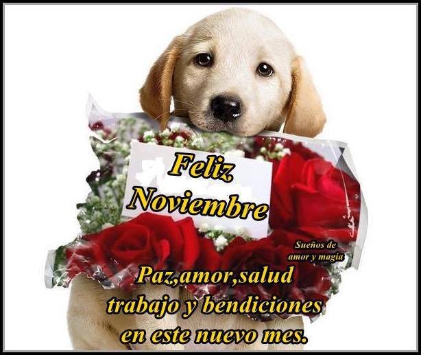 Feliz noviembre