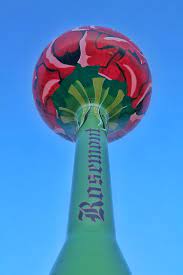 DogicEmil's tweet photo. Thank you Mayor Stephens for telling us about the Rosemont community. Your talk taught me that Rosemont had a water tower with a beautiful design of a rose on it.
#leydenpride #MayorStephens #leydencolab https://t.co/Jgh5wCLFWv