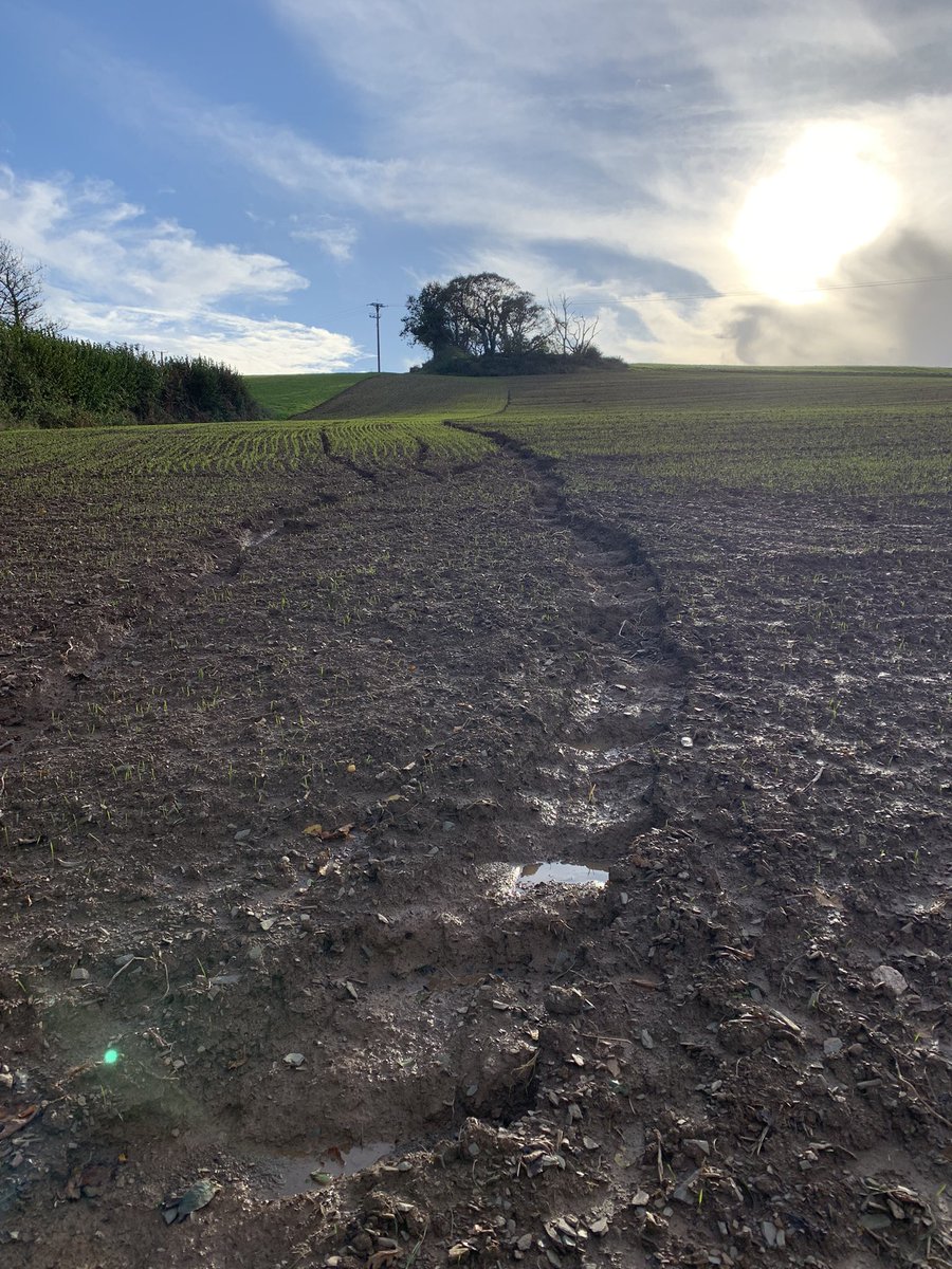 JamesWimpress's tweet photo. The difference between getting a crop in “early”to being “late.” After the equinox the autumnal rains come in the Westcountry and this is the difference between keeping soil in the field or losing it forever! What to do….. @SoilsAlliance @agricology #soiltsunami https://t.co/GwXLgqFtsF