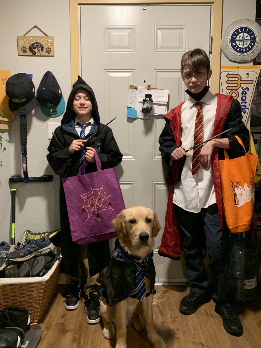 hayposteen's tweet photo. @thisisbwright Happy Halloween! 2 of my wizards and a Harry “Paw”-ter fan. https://t.co/lD7d7GrhWb