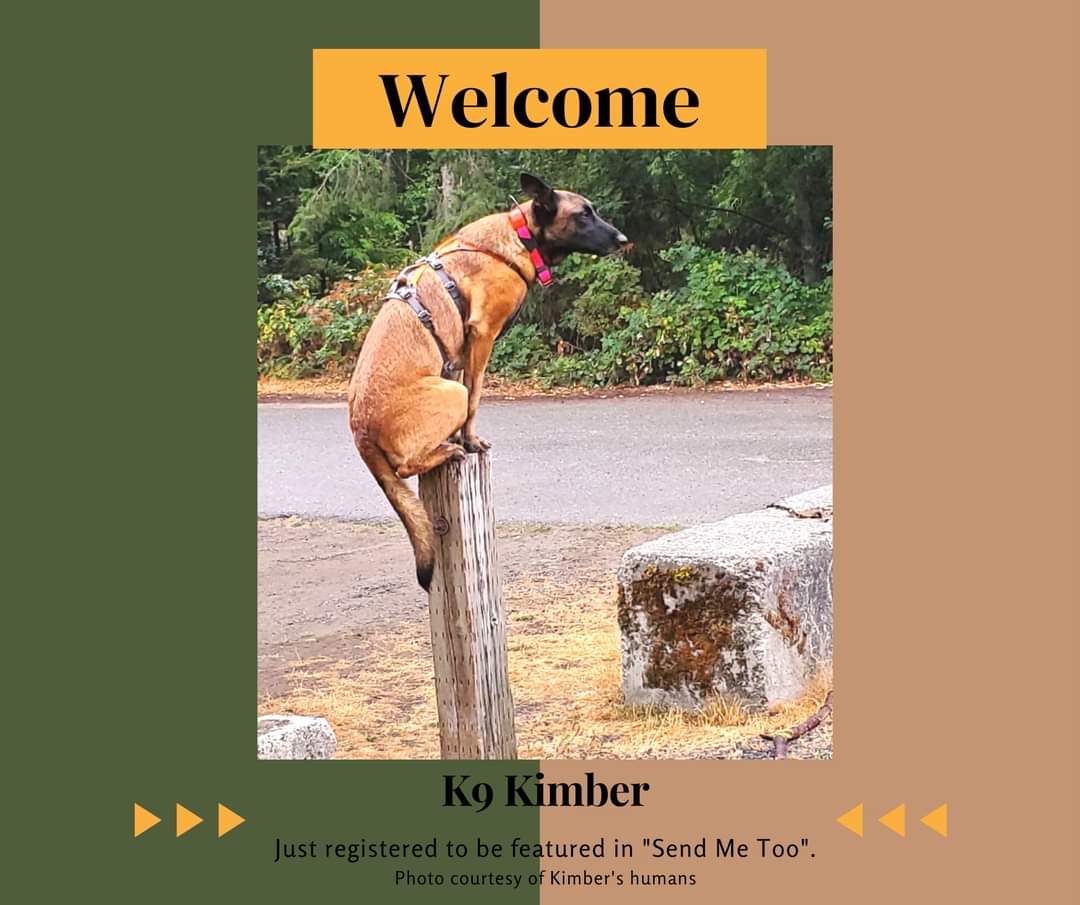A big, warm welcome to K9 Kimber, who has registered to be featured in "Send Me Too"! 

Would you like YOUR working dog featured in "Send Me Too"? Registration is currently open to any/all working dogs of the Pacific Northwest. 

hollyccook.com/send-me-too.ht…

Photo: Kimber's Family