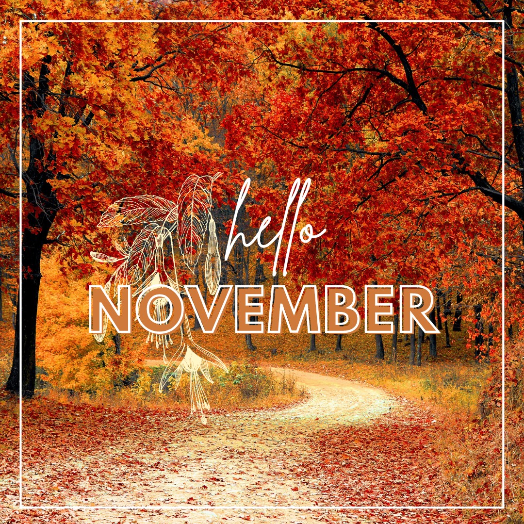 _DIYStylist's tweet photo. Welcome November🍂 “When you arise in the morning think of what a privilege it is to be alive, to think, to enjoy, to love…”
– Marcus Aurelius #MotivationMonday
...
#diystylist #beauty #hairstyles #hair #styleinspiration #trendingnow #trendingfashion #love #tiktok #trending https://t.co/2MBzp3EcWE