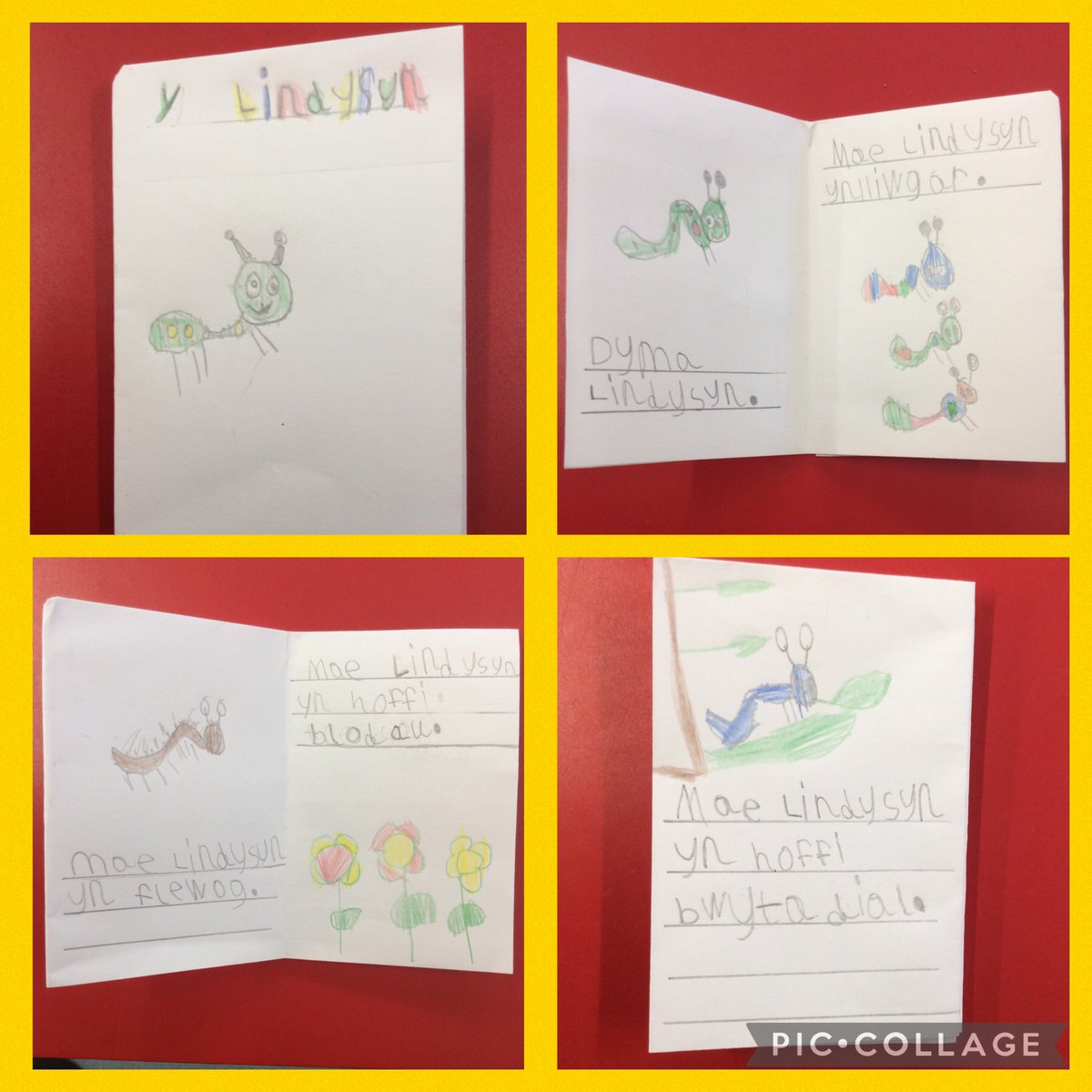 4SCWCPS's tweet photo. We’ve loved creating our own factual zig zag books about Y Lindysyn 🐛 @EAS_Cymraeg https://t.co/w2tpE8TKK4