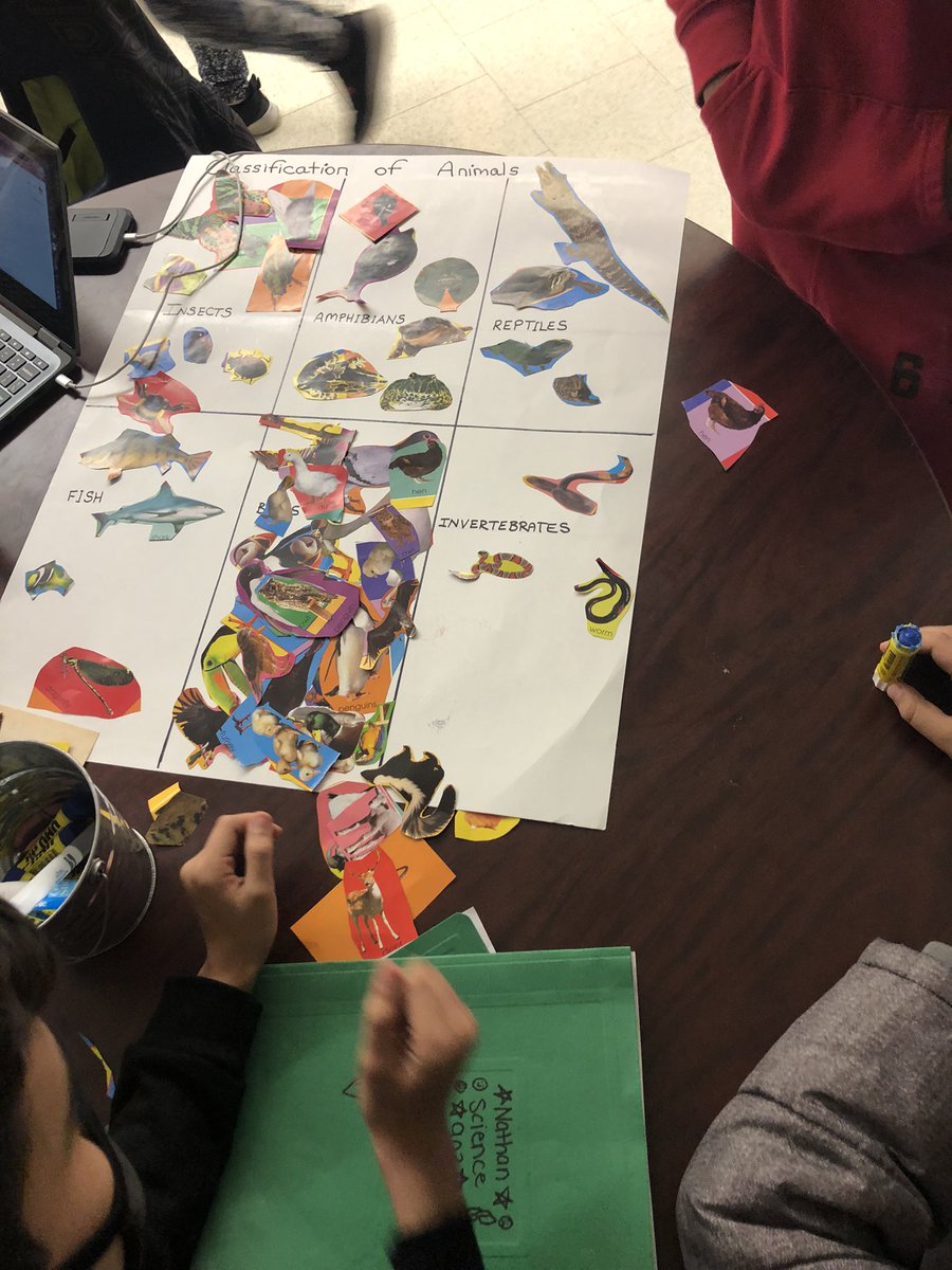 Our amazing students using various materials to purify and clean water.  Students engaged in a sorting exercise. <a href="/msmasood25/">Ozma Masood</a>
