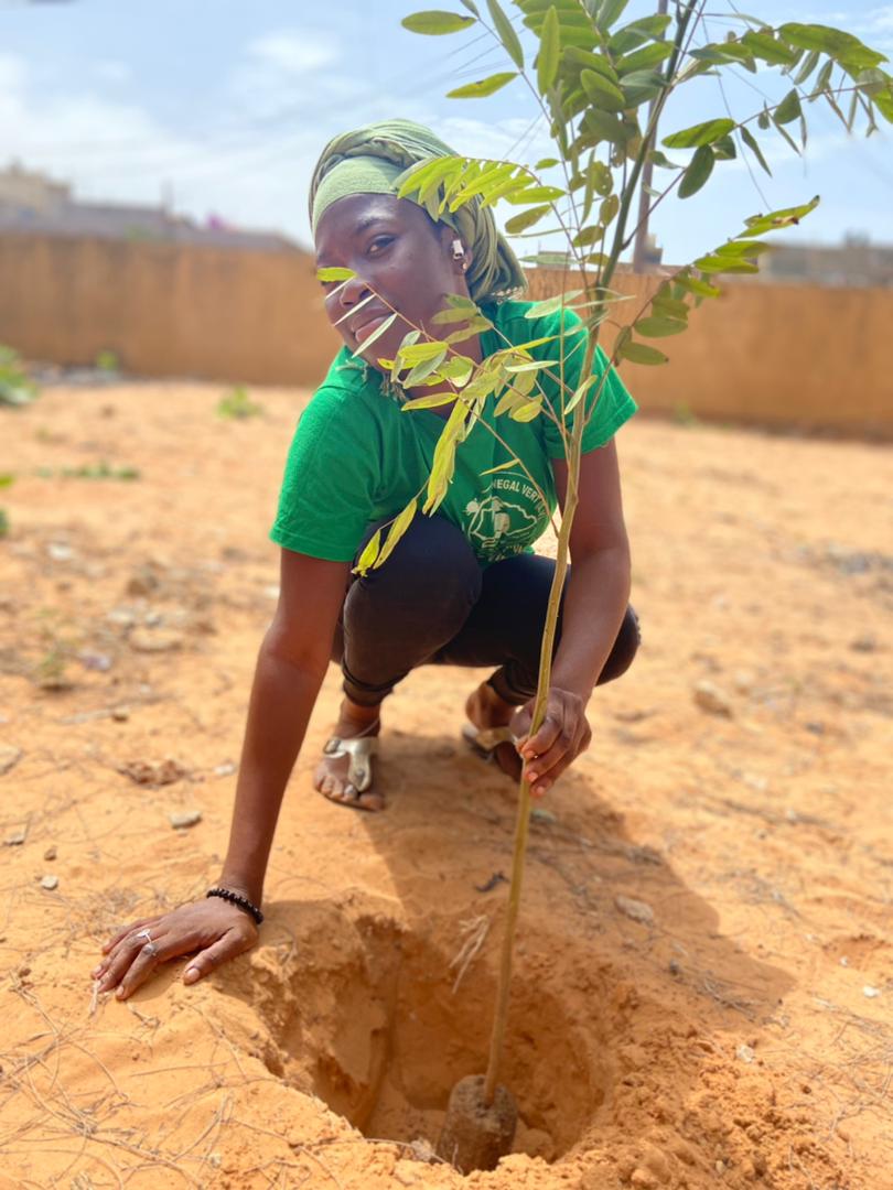 SophieTraor2's tweet photo. Non à la déforestation
#cop26 https://t.co/tQ0SCtn0WH