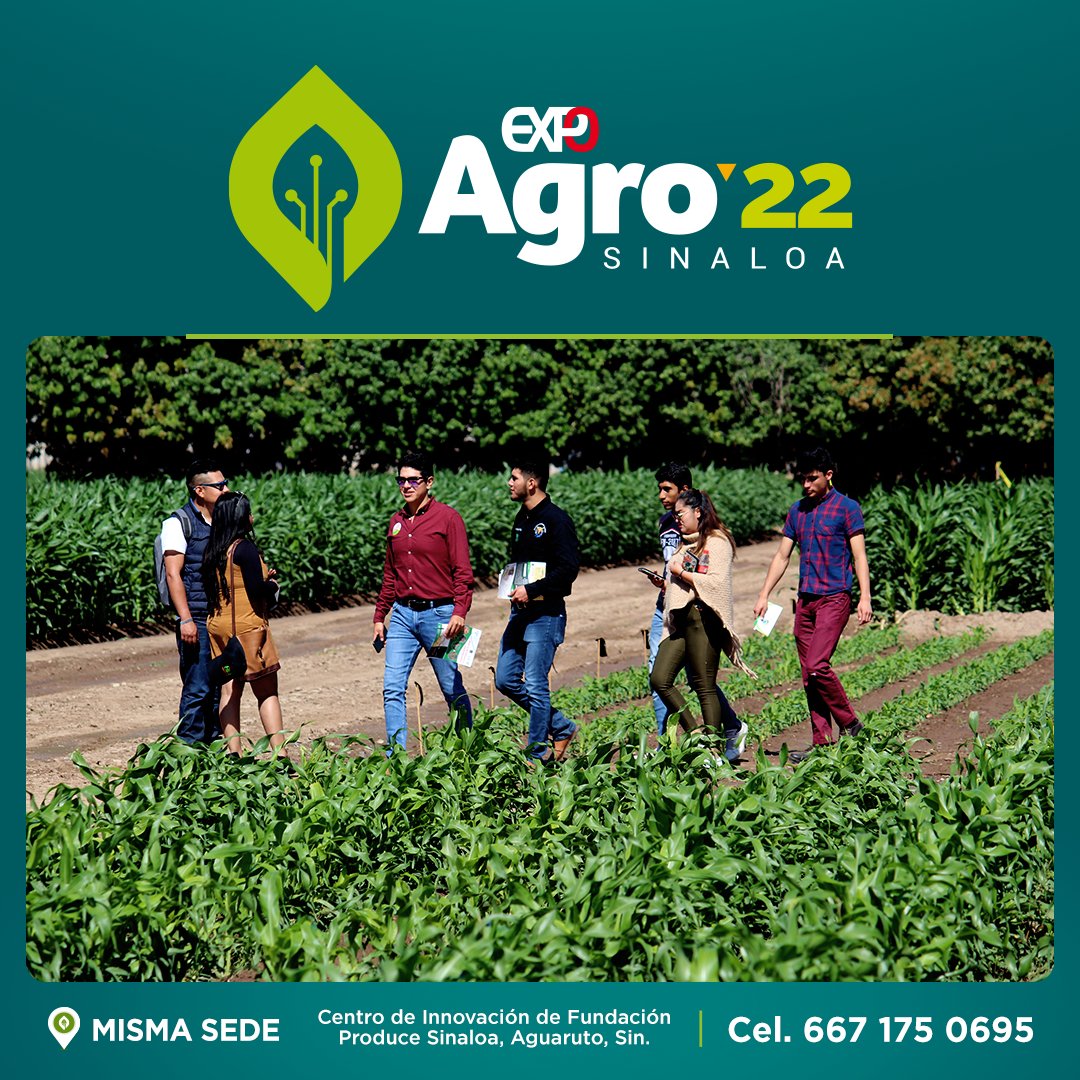 ExpoAgroSinaloa's tweet photo. Es el mejor momento para darle exposición en grande a tu empresa en nuestro #ParqueDeGranos. 🌽🌿

Esta edición 30 de #ExpoAgroSinaloa, destaca tu negocio nacional e internacionalmente en el foro agrícola más importante del país. 🙌🏻
#Labfers #Quimia #Dronedition https://t.co/qzGPeS4KOB