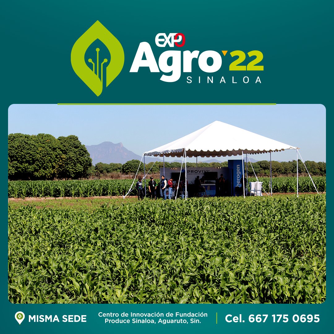 ExpoAgroSinaloa's tweet photo. Es el mejor momento para darle exposición en grande a tu empresa en nuestro #ParqueDeGranos. 🌽🌿

Esta edición 30 de #ExpoAgroSinaloa, destaca tu negocio nacional e internacionalmente en el foro agrícola más importante del país. 🙌🏻
#Labfers #Quimia #Dronedition https://t.co/qzGPeS4KOB
