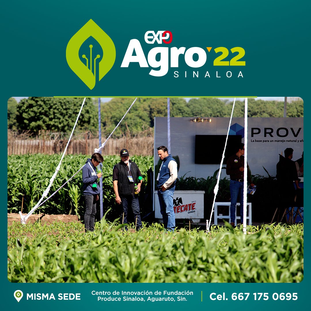 ExpoAgroSinaloa's tweet photo. Es el mejor momento para darle exposición en grande a tu empresa en nuestro #ParqueDeGranos. 🌽🌿

Esta edición 30 de #ExpoAgroSinaloa, destaca tu negocio nacional e internacionalmente en el foro agrícola más importante del país. 🙌🏻
#Labfers #Quimia #Dronedition https://t.co/qzGPeS4KOB