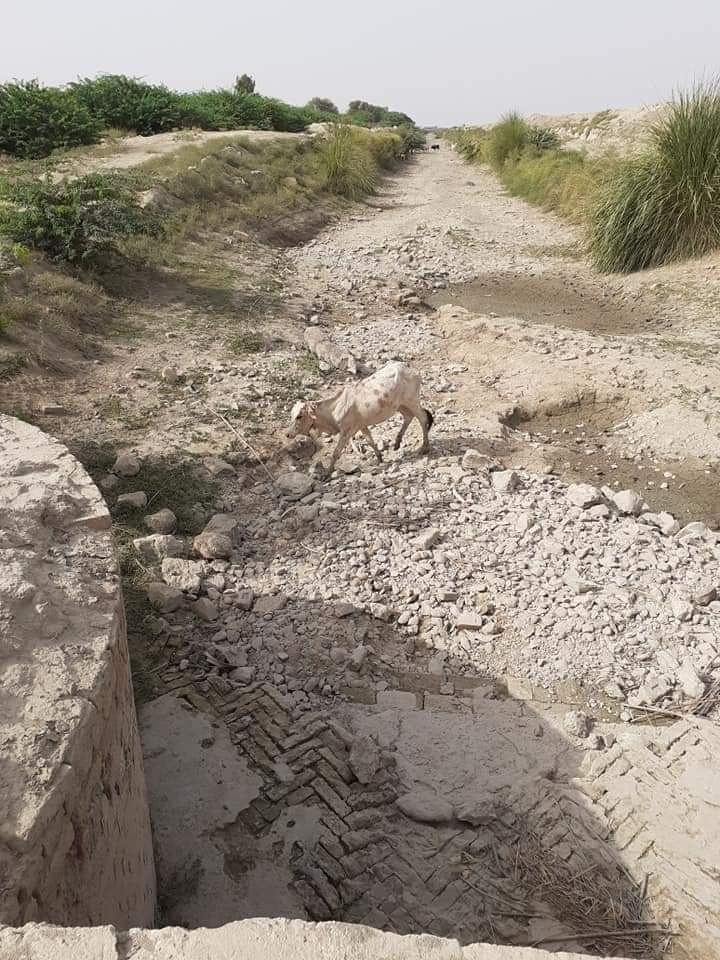AqsaLeelaJamali's tweet photo. Without water there is no agriculture and without agriculture there is no food. #JohiNeedsWater https://t.co/qAzxggOkvT