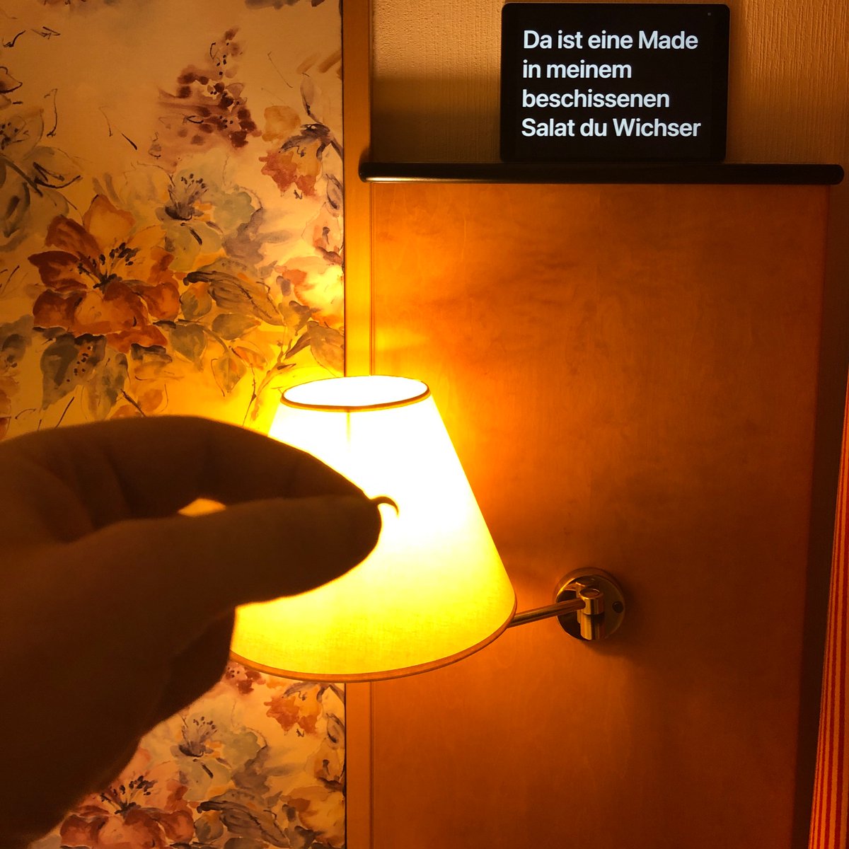 mrkimnoble's tweet photo. Ich bin in sodding Deutschland with google translate. Mein deutsch ist scheiße . @spielart_muc #deadsquirrel #estutmirleid #lullabyforscavengers https://t.co/IslN2yByf4