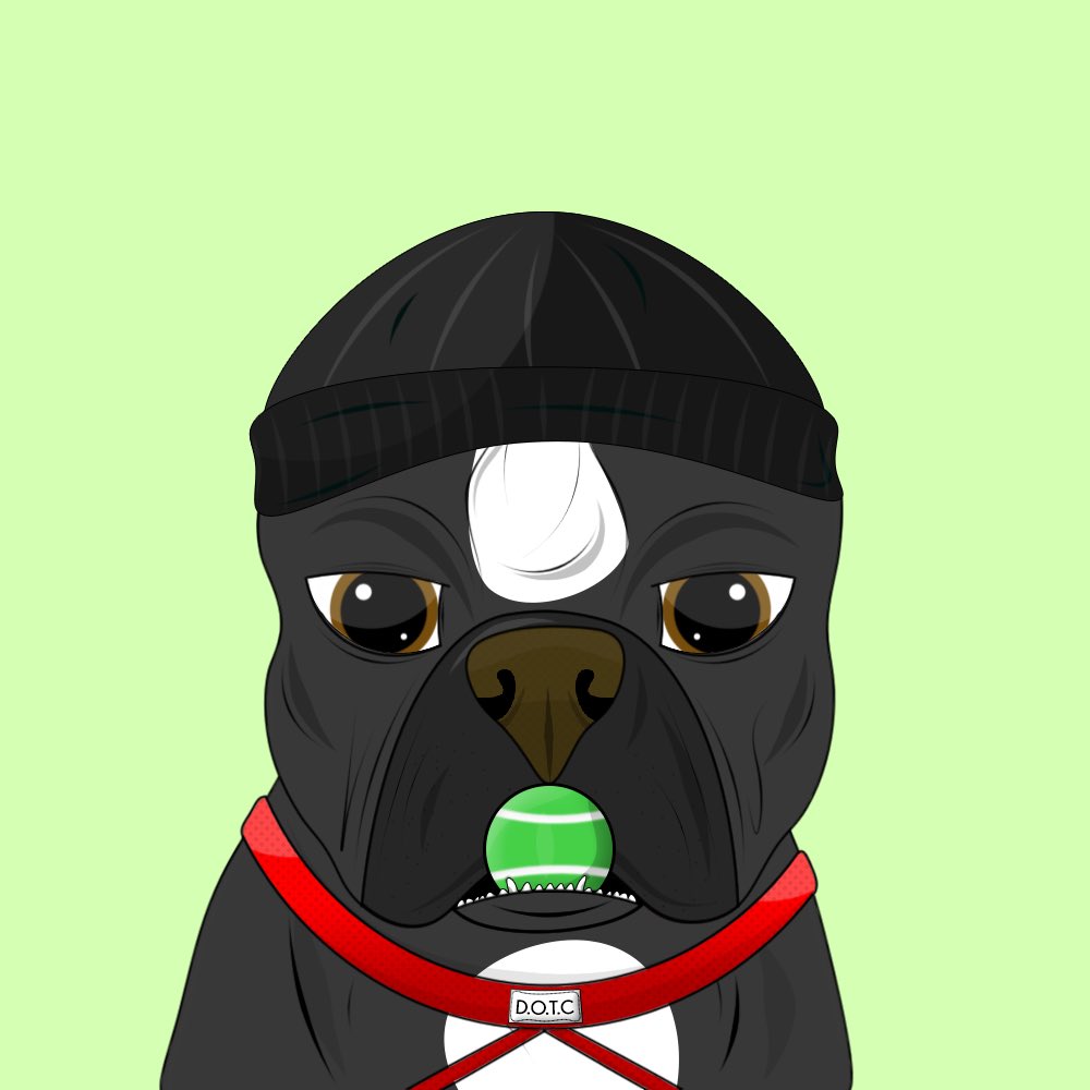 *GIVEAWAY*
NAME A PUPPY / WIN A PUPPY 

Win an OG <a href="/DogsOnTheChain/">Dogs On The Chain | Cardano NFTs</a> 

1 - Like | RT | Follow me and <a href="/Thatgirlglo/">Glo 🃏🦊🔗</a> 
2 - Drop your suggestion in the comments (one per person)

Winner selected Nov 3, NOT random - cutest, funniest or derpiest name wins

#NFTGiveaway #CNFT #NFTCommunity