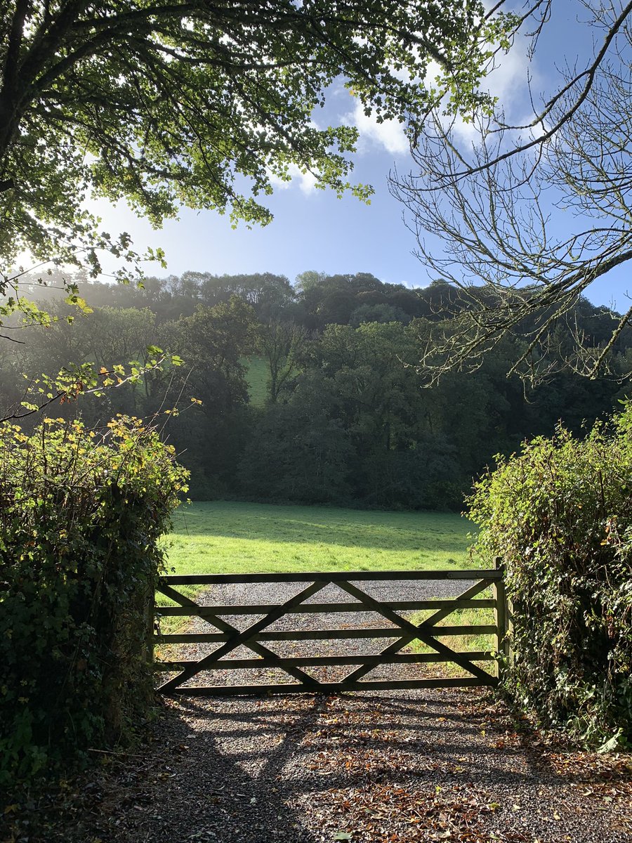 LynnParsonsUK's tweet photo. It’s Cold Outside but Warm in here @magicfm from 7pm Come on in and Cosy up with Some Magical Monday night Musical Treats plus Your Whispers &amp; Windows #DevonSunshine https://t.co/tIAktyLe7b