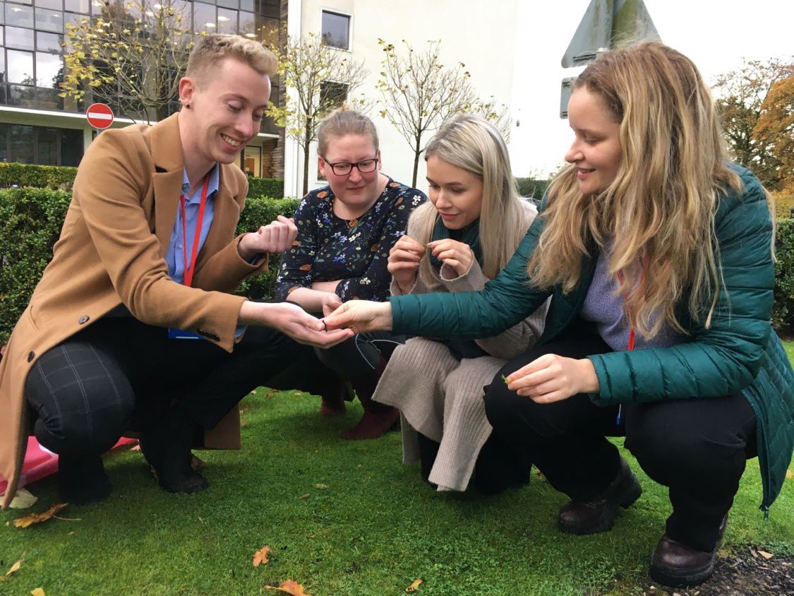 Joshua Styles tweet media