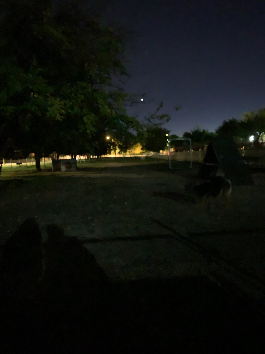 martukisa's tweet photo. Es una vergüenza que después de haber reclamado al @aytogetafe farolas en el parque de perros del José Hierro, sigamos así. Los vecinos de esta zona nos sentimos abandonados!! Pedimos mantenimiento para el parque de inmediato. @sara_heba  @aytogetafe #Getafe https://t.co/yPwFVoNaWx