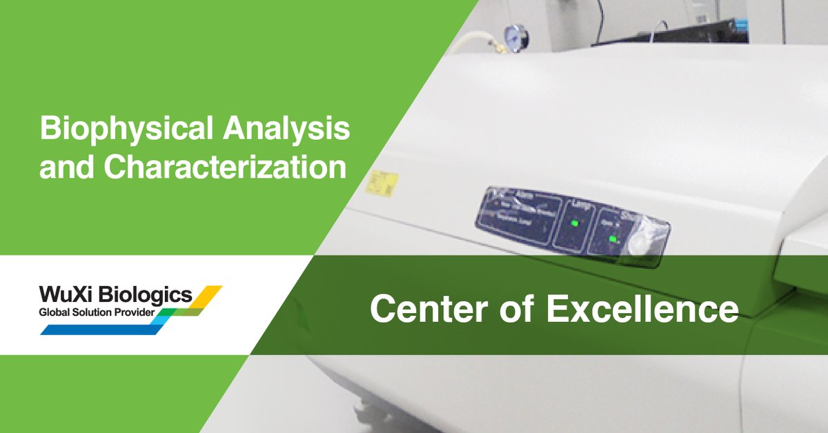 WuXiBiologics's tweet photo. This WuXi Biologics Center of Excellence possesses the requisite expertise, world-class equipment and analytical methods for biophysical analysis and characterization of proteins, https://t.co/m22v9fQBqE
#biophysicalcharacterization #structuralbiology https://t.co/sOjBxBeHBj