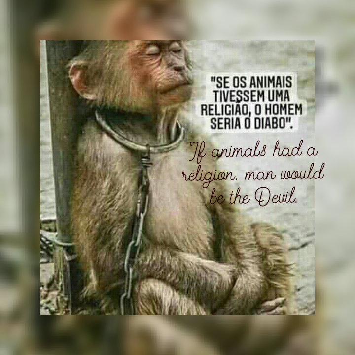 Seven2451's tweet photo. If animals had a religion, man would be the Devil. https://t.co/tmp3qySrvH