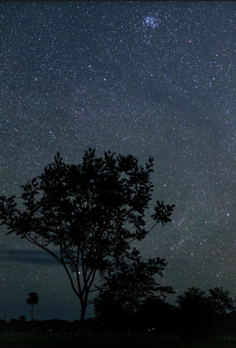 Experience star gazing at La Pradera ranch! Token holders are able to visit the ranch, free of charge* (The only cost borne onto the token holders is the cost of travel to and from the ranch)

#finkaToken #DigitalAsset #tokenisation