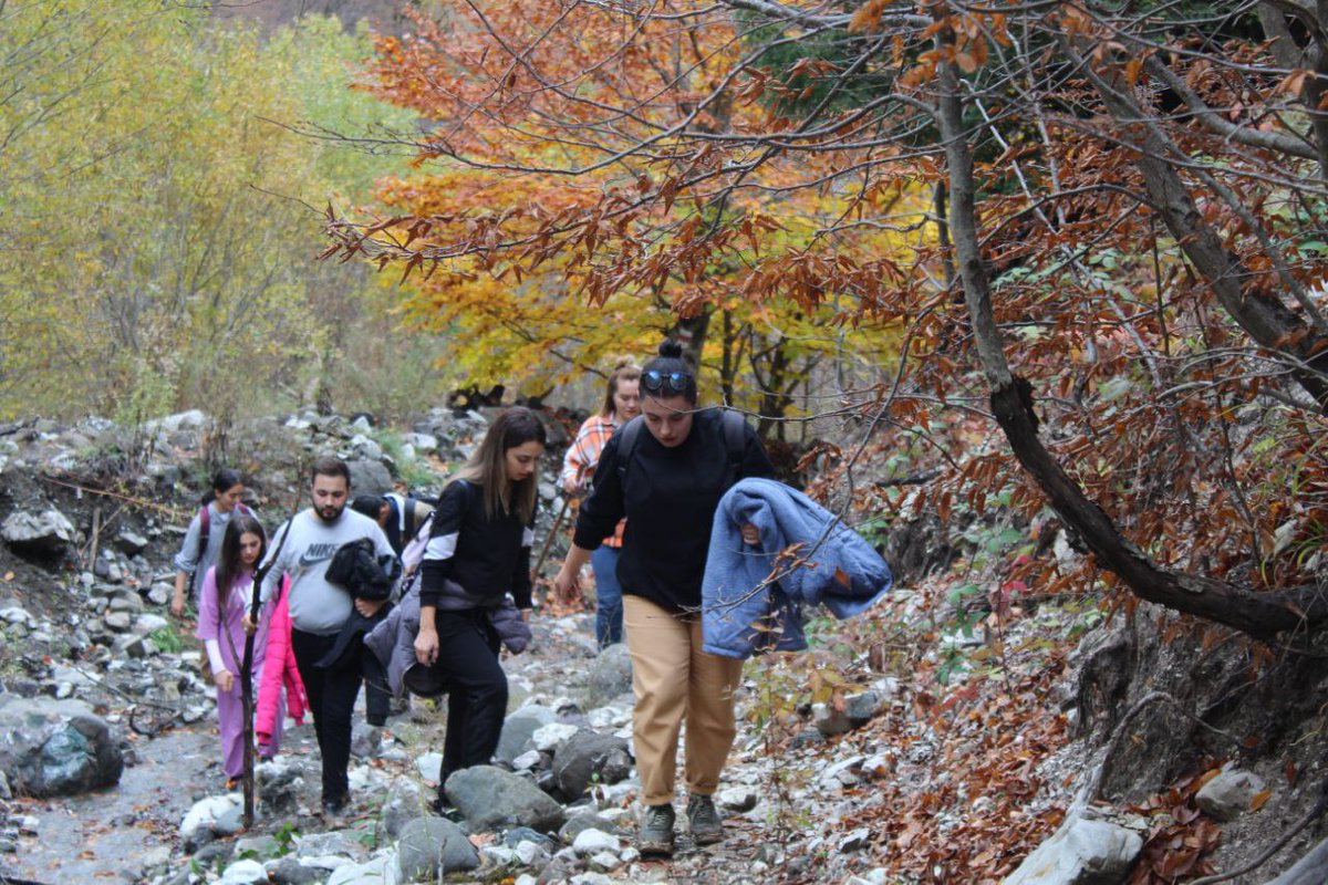 #AutumnFalls #naturelovers