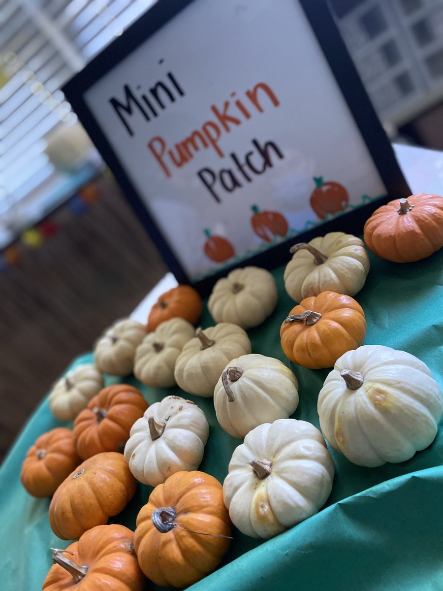 RachaelSymonds2's tweet photo. Pumpkin pets to celebrate our October learning 🎃 #funinfifthgrade https://t.co/caU3fiKLak