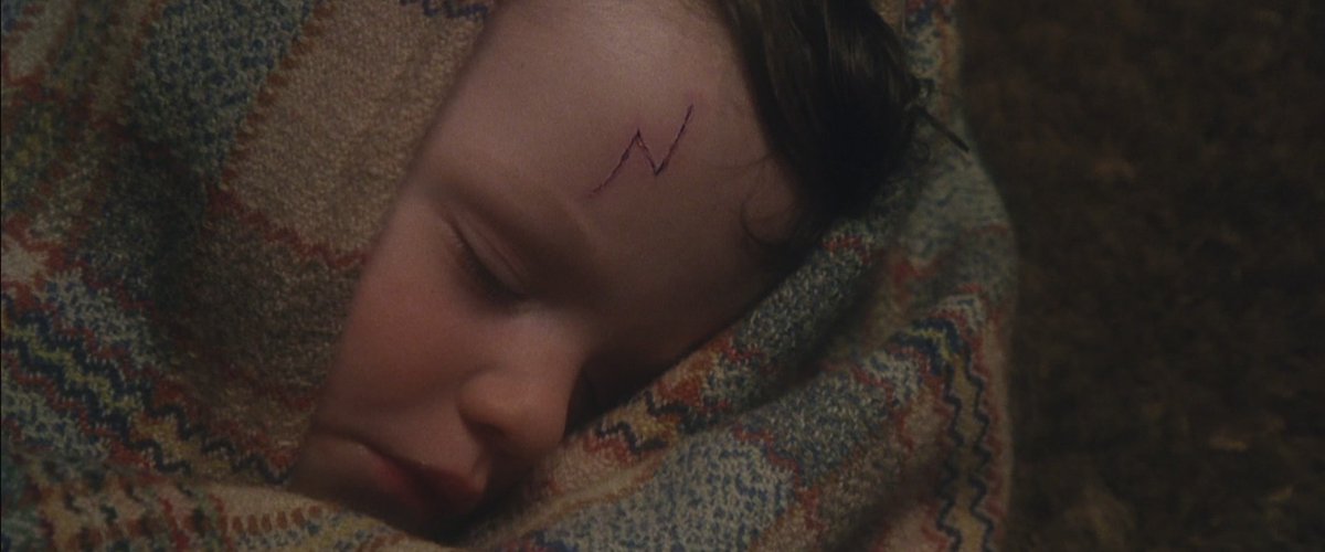 muggle_facts's tweet photo. On November 1, 1981: Albus Dumbledore, Minerva McGonagall and Rubeus Hagrid left Harry on the Dursleys' doorstep https://t.co/Z3LFXdgBPb