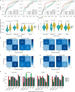 NatureBiotech's tweet photo. Improved prediction of immune checkpoint blockade efficacy across multiple cancer types https://t.co/wPmKSGMw1P https://t.co/dQBT6aoy5g