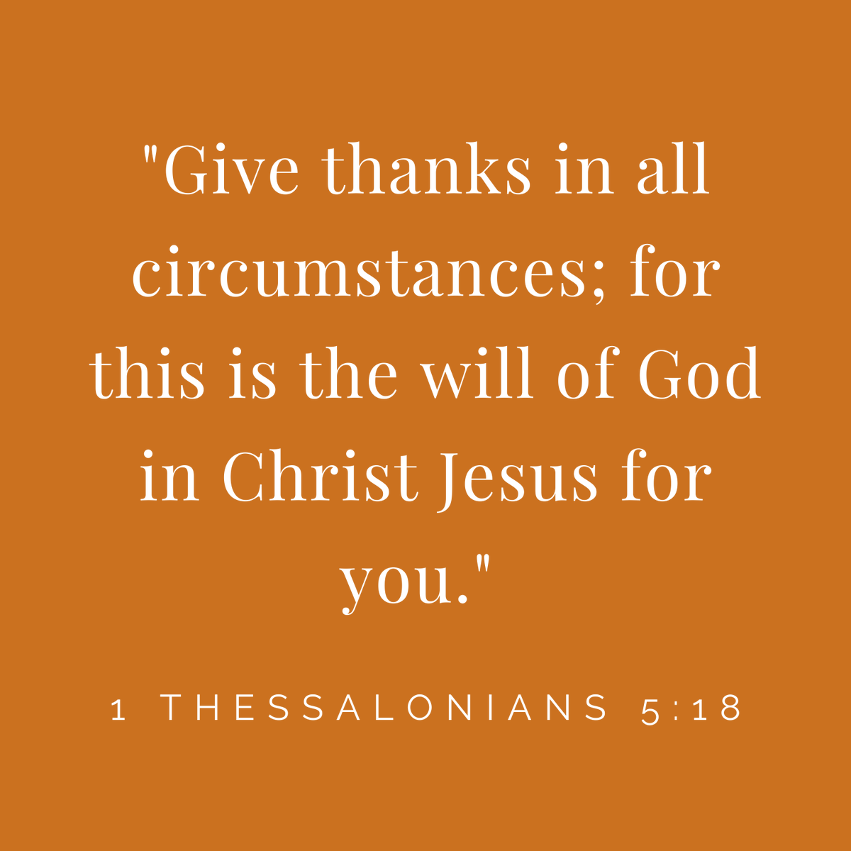 Boyd-Buchanan School tweet media