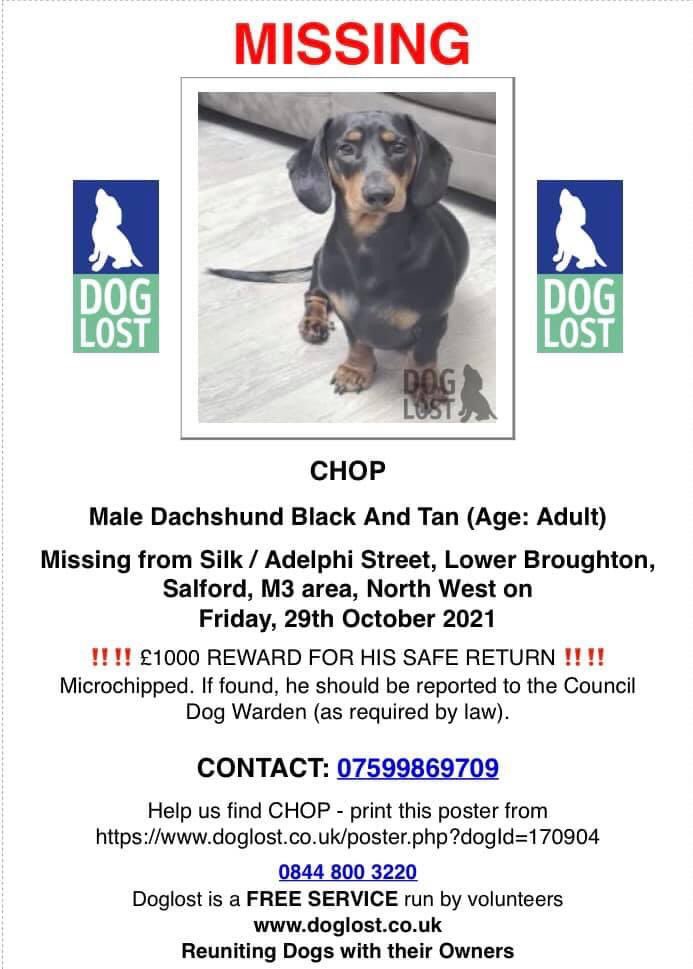 Guys help us to find our Chop please. Someone is with him for sure, as we have searched everywhere and definitely he is not wandering around. We are devastated, our kids are heartbroken. We need our baby back home. If you know anything or anyone that could be looking after him