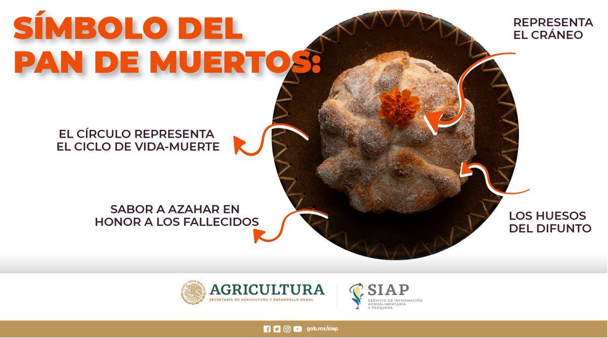 22 de las 32 entidades son productoras de trigo grano. La superficie sembrada de trigo grano en 2019 fue de 598 mil 233 hectáreas. 

#DíaDeMuertos #NuestraRiqueza #AgriculturaMexicana #DelCampoATuMesa