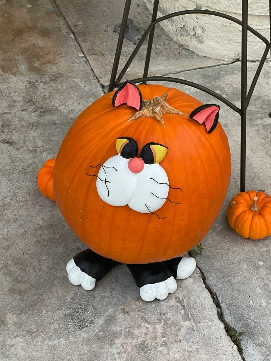 particlex's tweet photo. Here kitty kitty #halloween #cat https://t.co/XUJJEsjO9Y