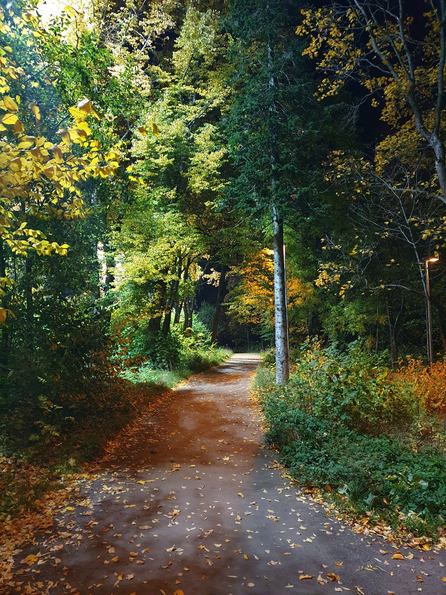 KajNorrman's tweet photo. Kiitos @AboIFK_P05, yhteinen matkamme päättyy tähän. 
Ikimuistoisia vuosia. Kaikkea olemme antaneet, niin kentällä kun sen ulkopuolella. 
On ollut ilo saada seurata tietä kaikkia, olette hienoja poikia 💛🖤

#nöyrästieteenpäin @AboIFK_FF https://t.co/6aGqGteKnw