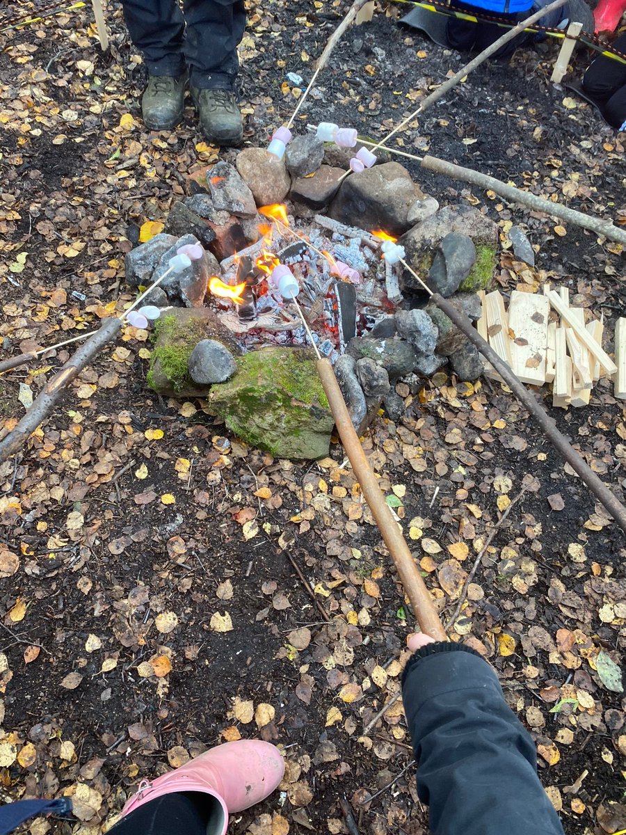Primary 3 embracing the outdoors today 🐛🪲. We are very lucky to have this amazing outdoor area so close by to our school! 🍃🍂 #OurDearGreenPlace #outdoorfun