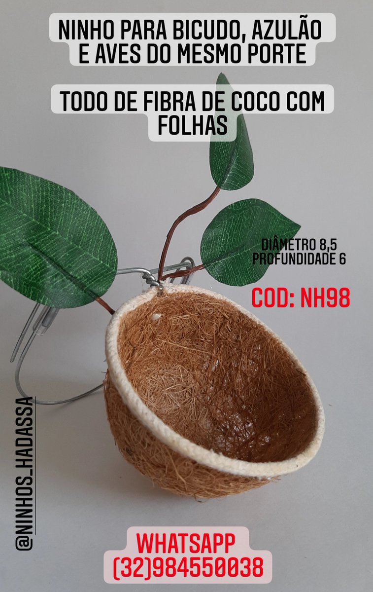 NinhosHadassa's tweet photo. Aqui você encontra os melhore ninhos para sua criação https://t.co/V6K7u1tX03