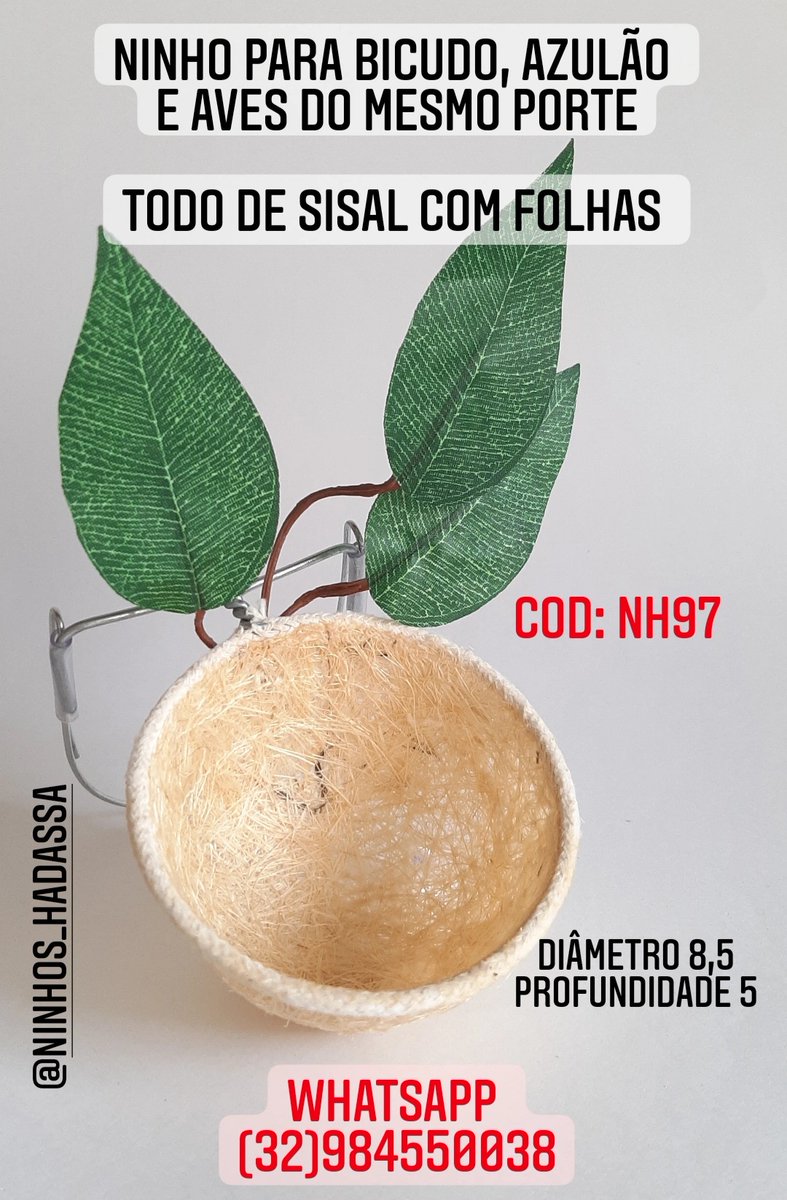NinhosHadassa's tweet photo. Aqui você encontra os melhore ninhos para sua criação https://t.co/V6K7u1tX03